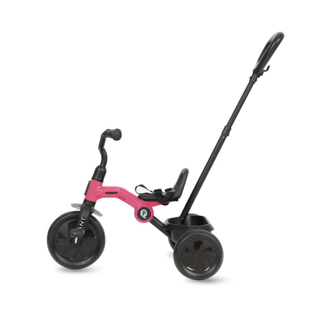 QPlay Ant Plus Tricycle - Pink