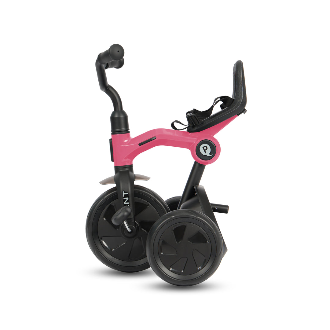 QPlay Ant Plus Tricycle - Pink