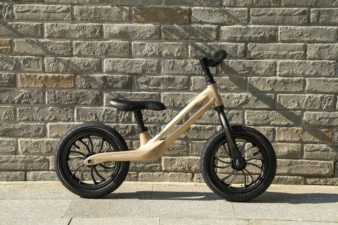 QPlay Racer - Titanium Balance Bike - Platinum