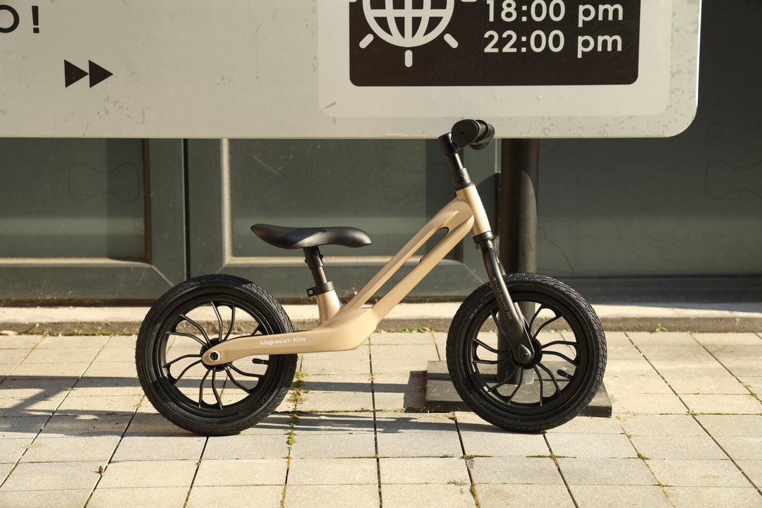 QPlay Racer - Titanium Balance Bike - Platinum
