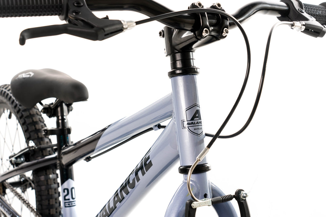 Avalanche 20 inch Boy's Pedal Bike - Antix Silver/Black