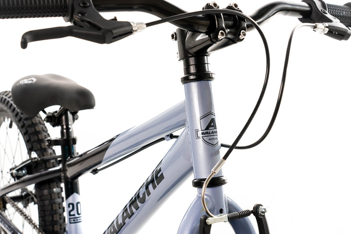 Avalanche 20 inch Boy's Pedal Bike - Antix Silver/Black