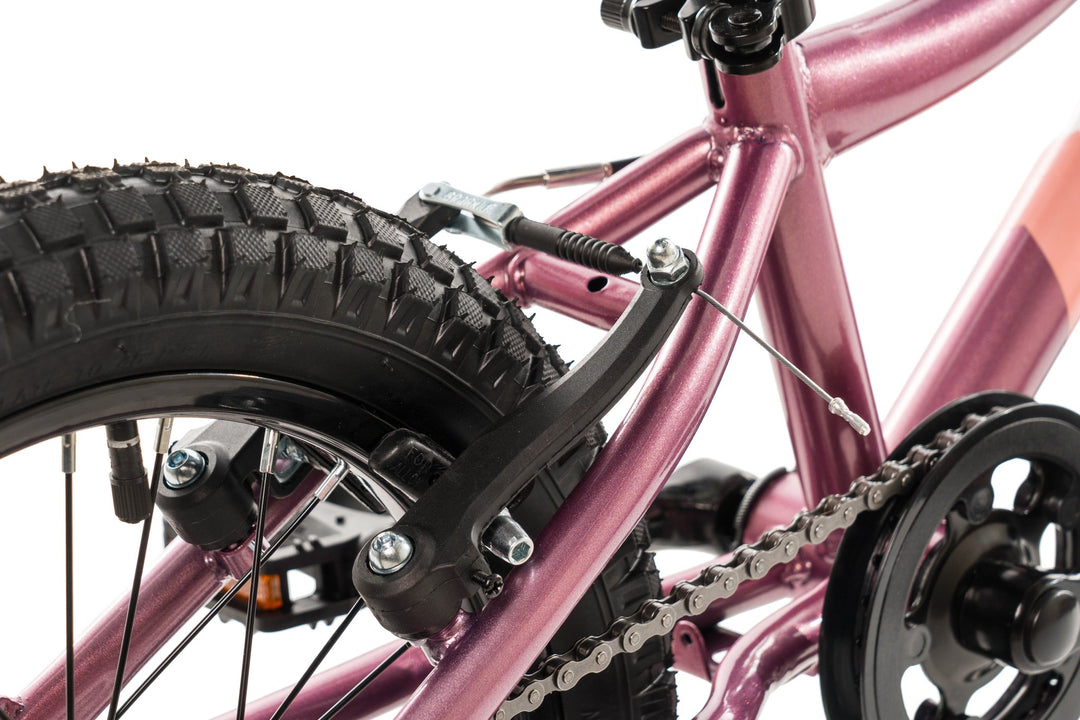 Avalanche 16 inch Girl's Pedal Bike - Dora Berry Peach