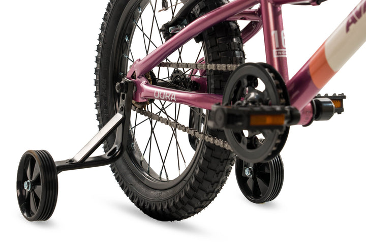 Avalanche 16 inch Girl's Pedal Bike - Dora Berry Peach