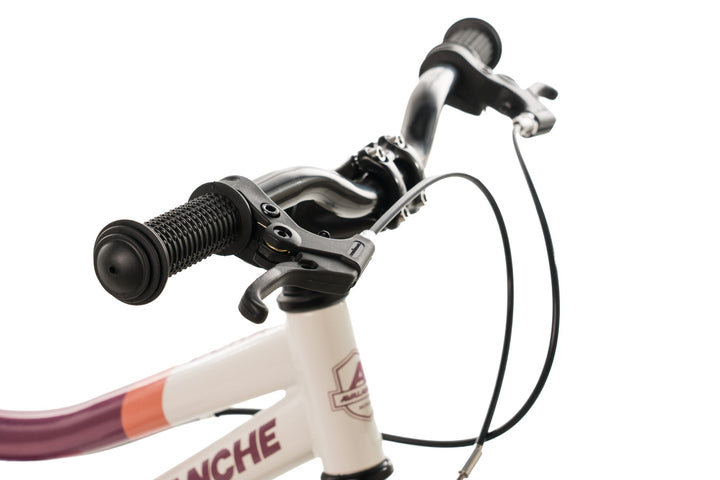 Avalanche 16 inch Girl's Pedal Bike - Dora Berry Peach