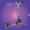 Micro Cruiser Scooter - LED Neochrome - 2-Wheeled Scooter for Kids and Teens